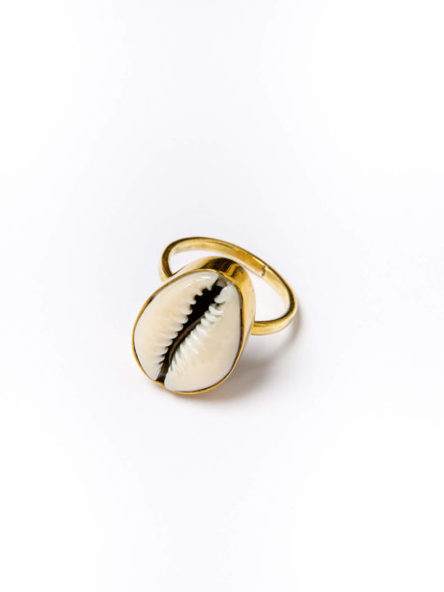 The shell ring